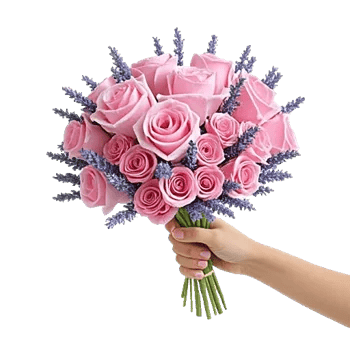 Pink Pastel Roses