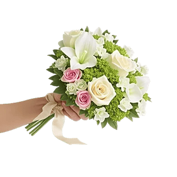 Elegant Calla Lilies