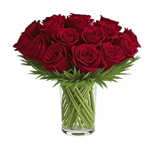 Crimson Rose Elegance