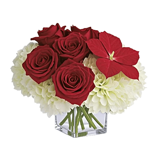 Crimson Blossom Harmony