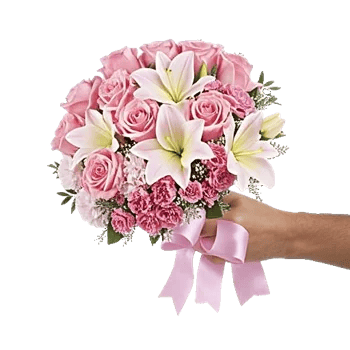 Blushing Rose Symphony