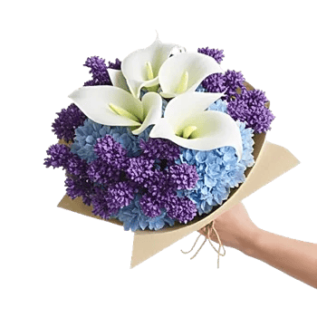 Elegant Calla Lilies