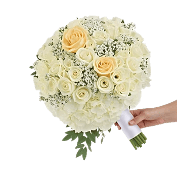 Delicate Petal Cascade