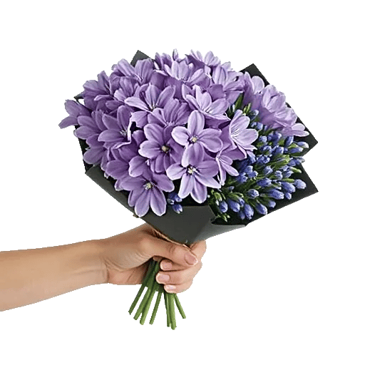 Pastel Blossom Grace