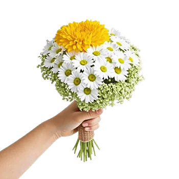 Golden Petal Harmony