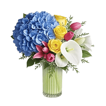 Azure Sky Blooms