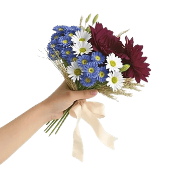 Blossom Petal Serenity