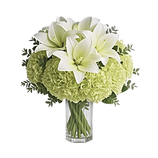 Ivory Blossom Radiance