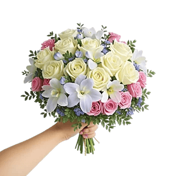 Minimalist White Orchids