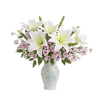 Ivory Blossom Radiance