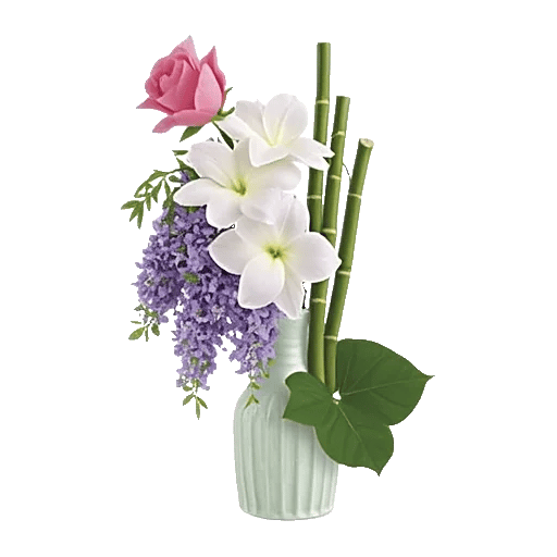 Ivory Blossom Radiance