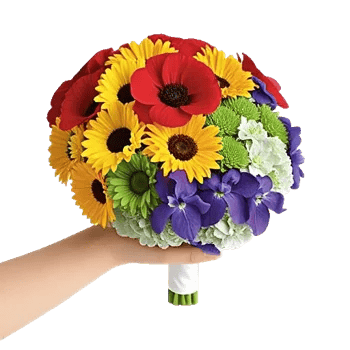 Vibrant Bloom Spectrum