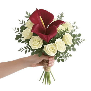 Elegant Calla Lilies
