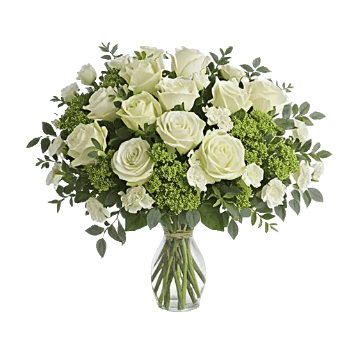 Minimalist White Orchids