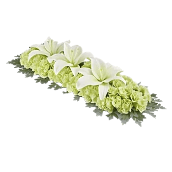 Graceful Lily Display