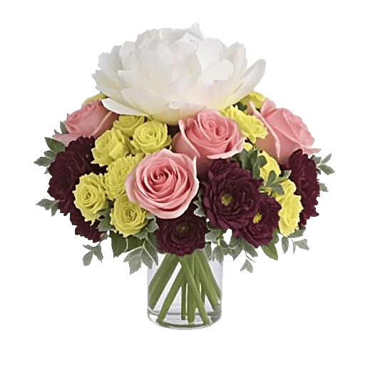 Petal Radiance Bliss