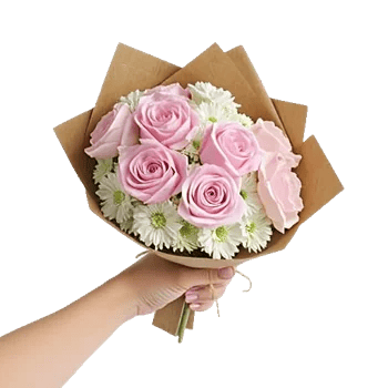 Pastel Pink Roses
