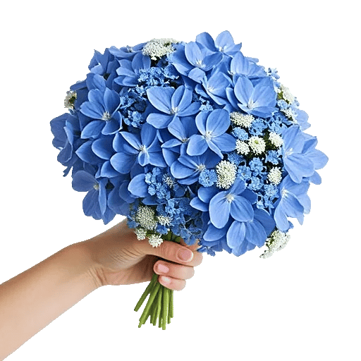 Serene Petal Harmony