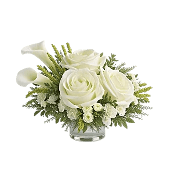 Modern White Orchids