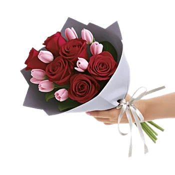 Crimson Rose Elegance