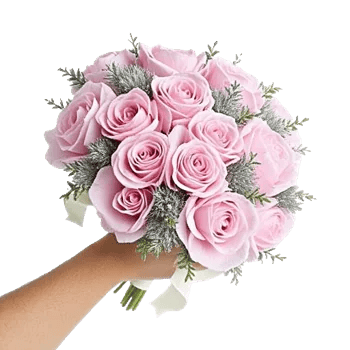 Pastel Pink Roses