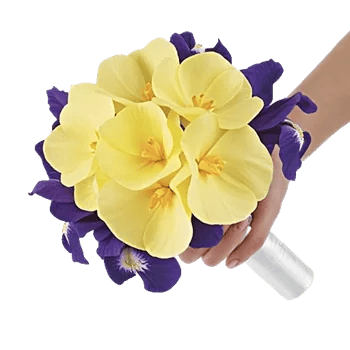 Ivory Blossom Radiance