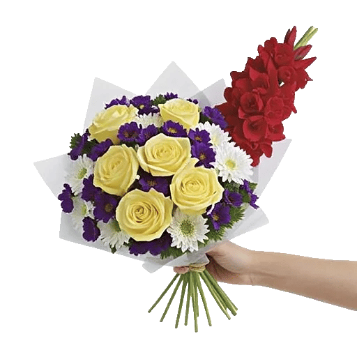 Blossom Harmony Display