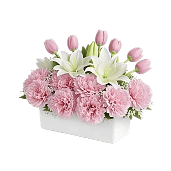 Delicate Petal Cascade