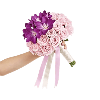 Orchid Bloom Cascade