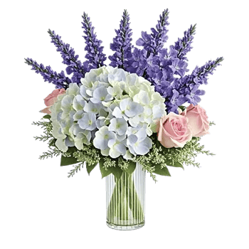 Sapphire Bloom Whisper