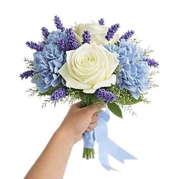 Serene Petal Harmony