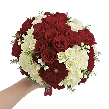 Blushing Rose Symphony