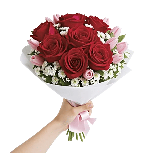 Crimson Rose Elegance