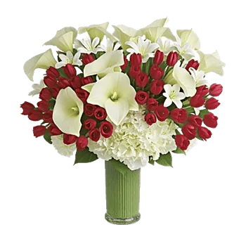 Elegant Calla Lilies