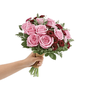 Pastel Pink Roses