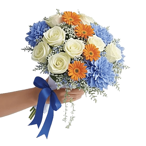 Serene Petal Harmony