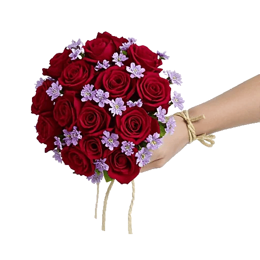 Blushing Rose Symphony