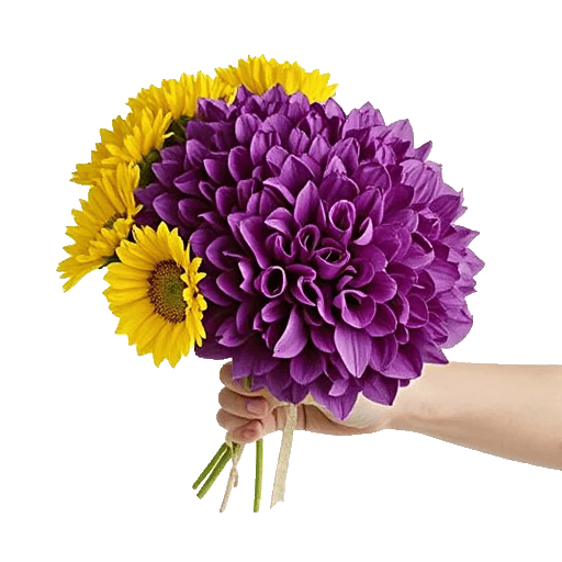 Ivory Blossom Radiance