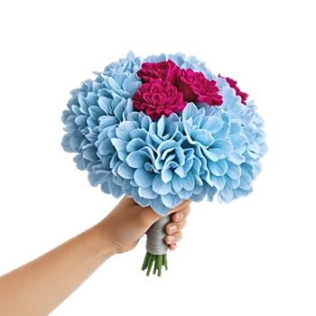 Serene Petal Harmony