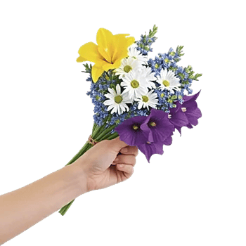 Blossom Harmony Display