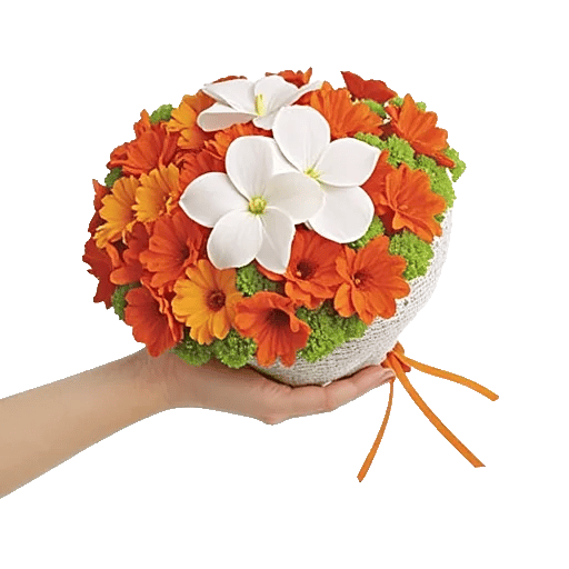 Blossom Grace Spread