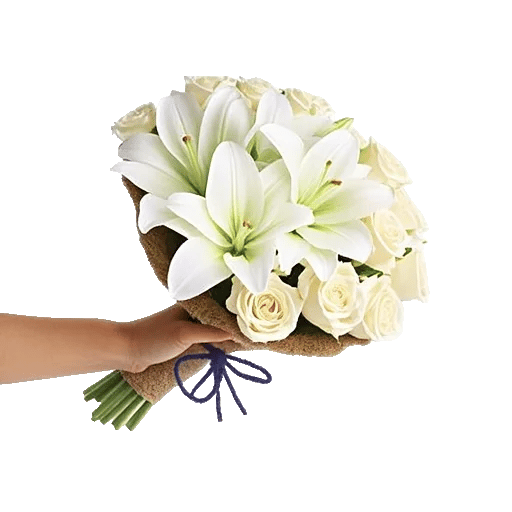 Ivory Garden Grace
