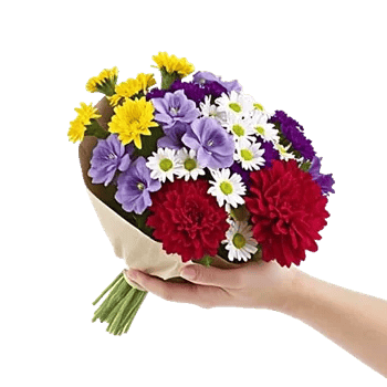 Petal Harmony Bliss