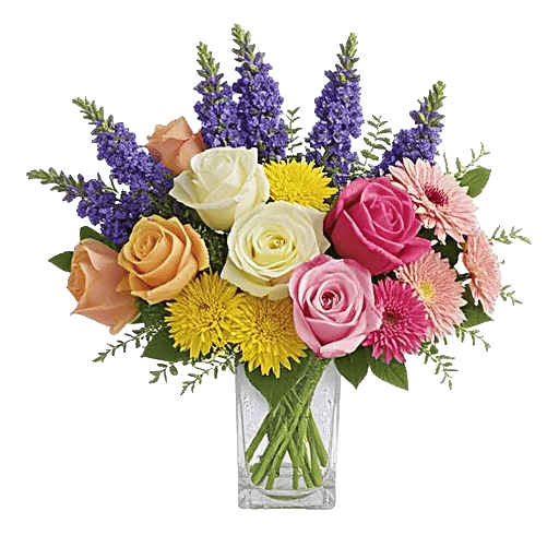 Petal Radiance Bliss