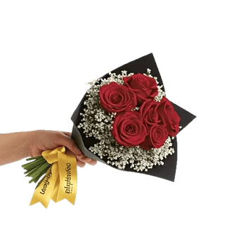 Crimson Rose Elegance