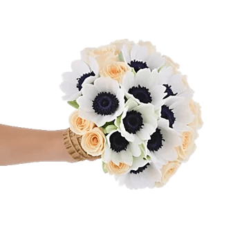 Delicate Petal Cascade