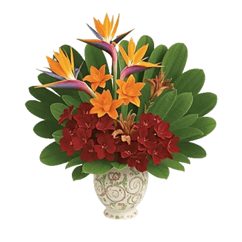 Petal Radiance Bliss