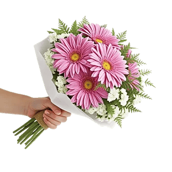 Silken Petal Array