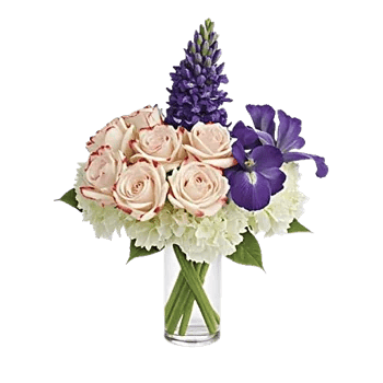 Ivory Blossom Radiance