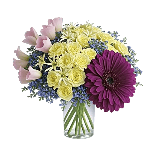 Petal Radiance Bliss